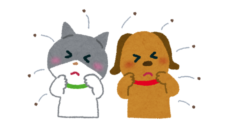 犬と猫がノミやダニでかゆがっている様子