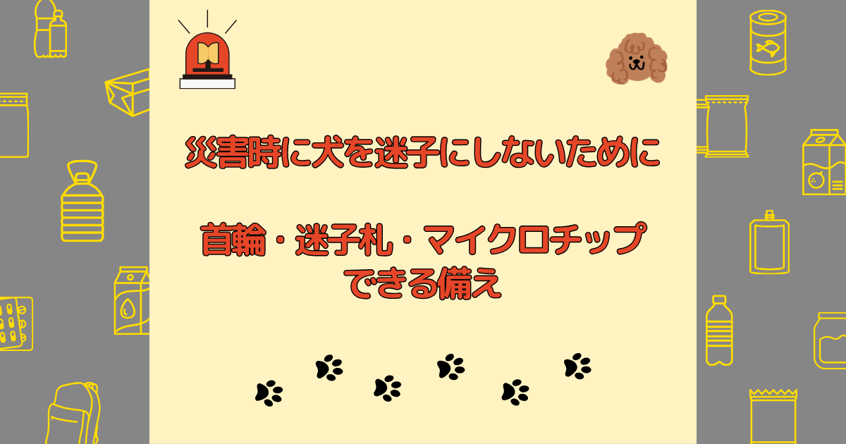 災害時に犬を迷子にしないために｜首輪・迷子札・マイクロチップでできる備え