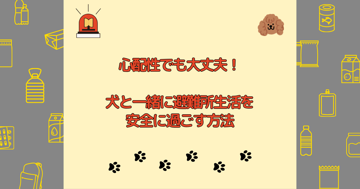 心配性でも大丈夫！犬と一緒に避難所生活を安全に過ごす方法