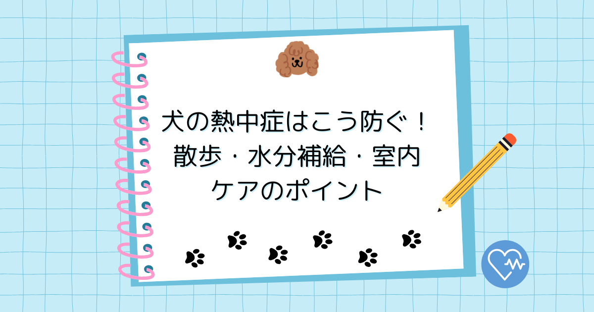 犬の熱中症はこう防ぐ！散歩・水分補給・室内ケアのポイント