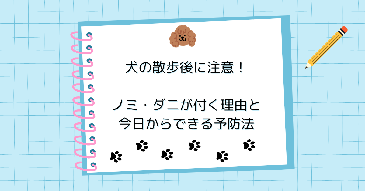 犬の散歩後に注意！ ノミ・ダニが付く理由と 今日からできる予防法