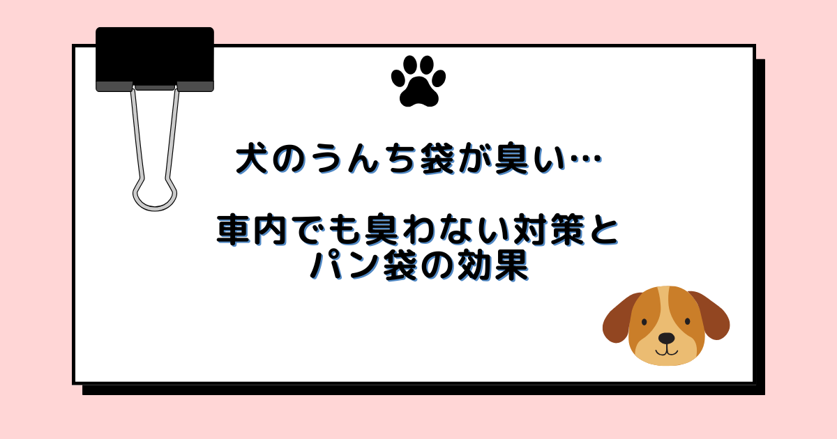 犬のうんち袋が臭い…車内でも臭わない対策とパン袋の効果