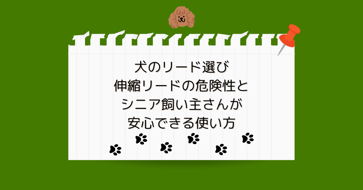 犬のリード選び 伸縮リードの危険性とシニア飼い主さんが安心できる使い方