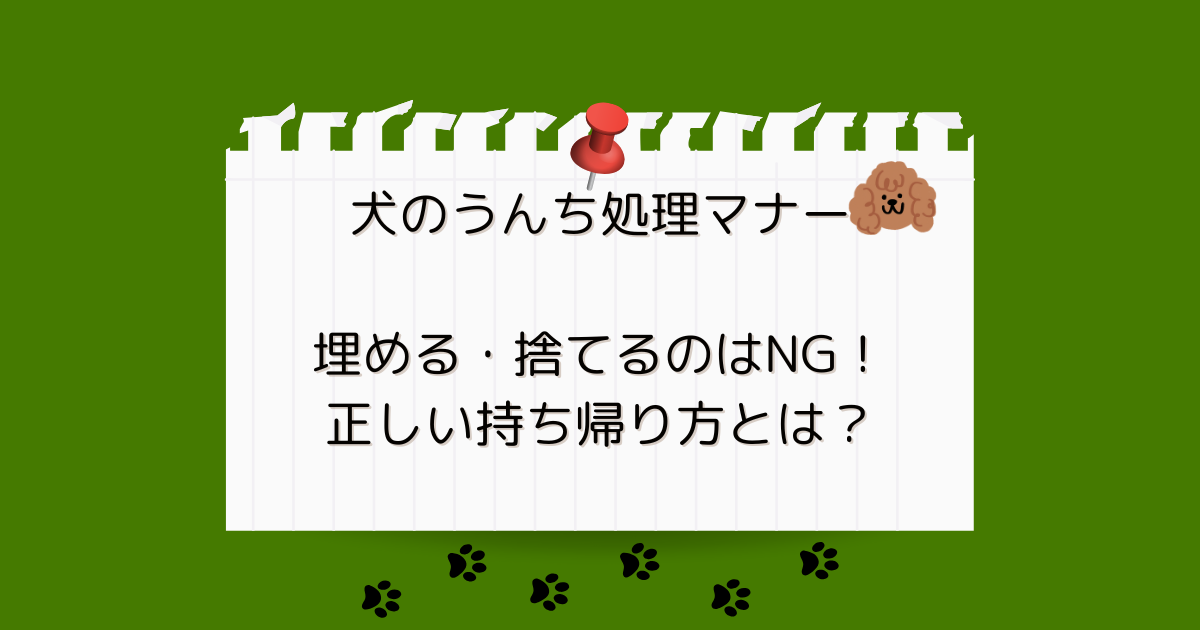 犬のうんち処理マナー｜埋める・捨てるのはNG！正しい持ち帰り方とは？