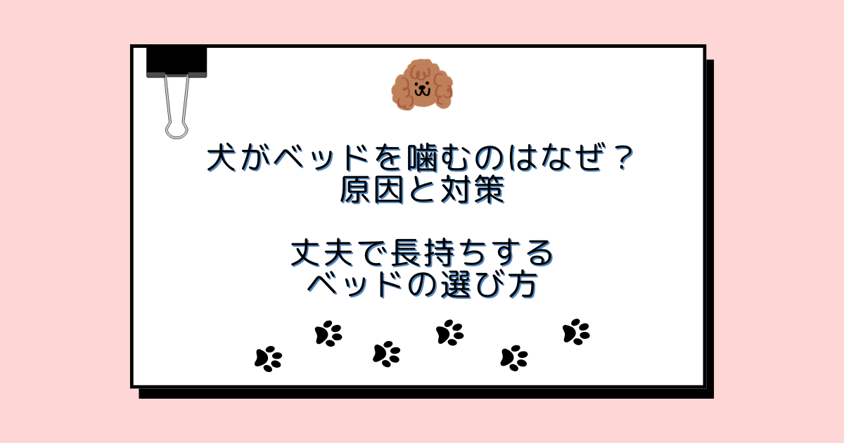 犬がベッドを噛むのはなぜ？原因と対策｜丈夫で長持ちするベッドの選び方