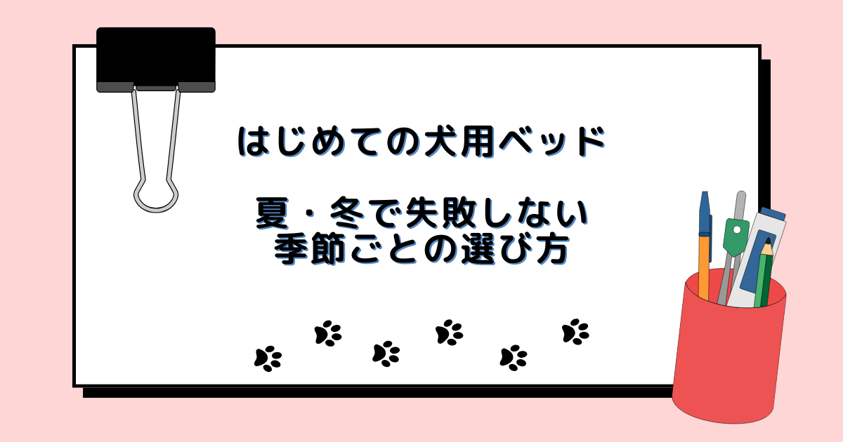 はじめての犬用ベッド 夏・冬で失敗しない 季節ごとの選び方