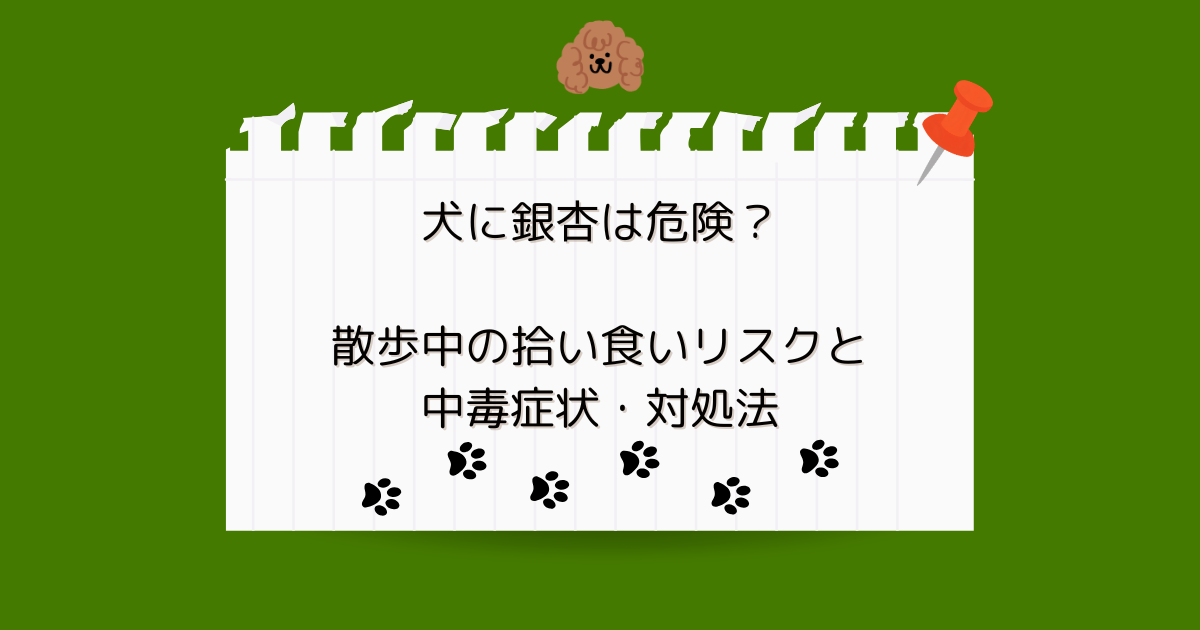 犬に銀杏は危険？散歩中の拾い食いリスクと中毒症状・対処法