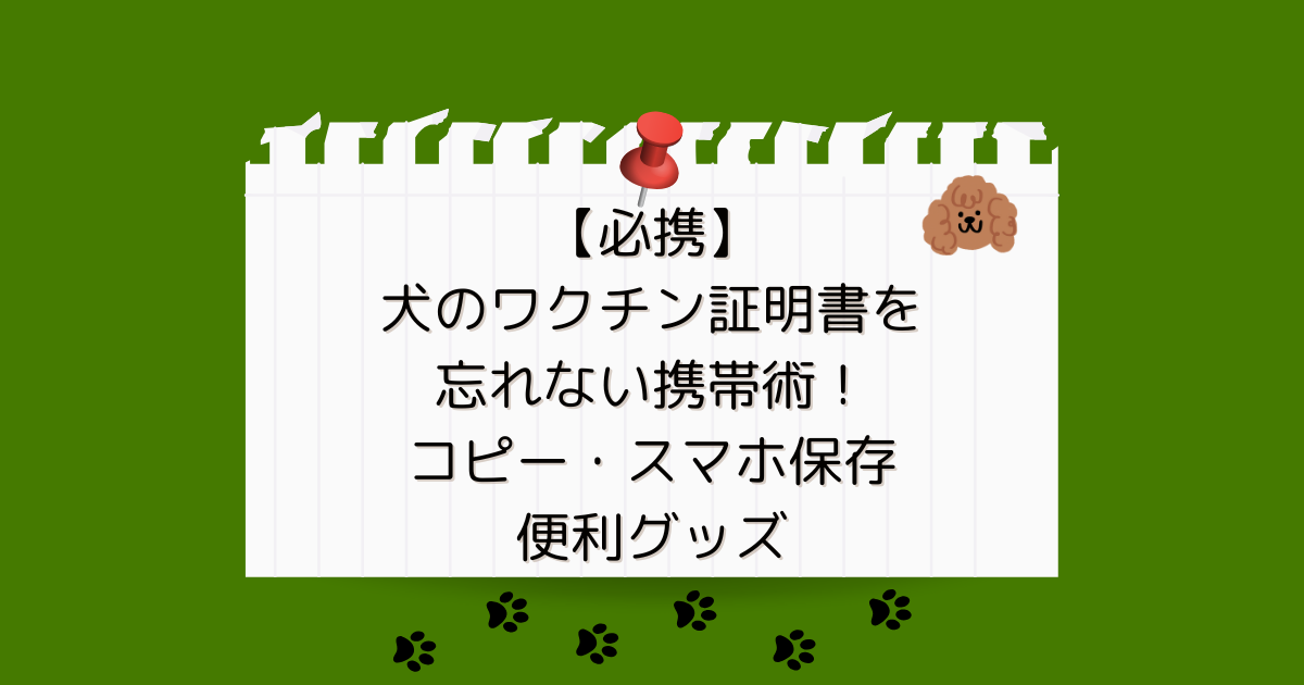 【必携】犬のワクチン証明書を忘れない携帯術｜コピー・スマホ保存・便利グッズ