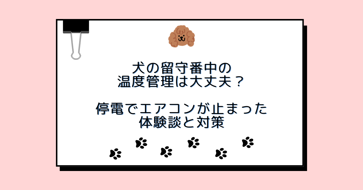 犬の留守番中の温度管理は大丈夫？停電でエアコンが止まった体験談と対策