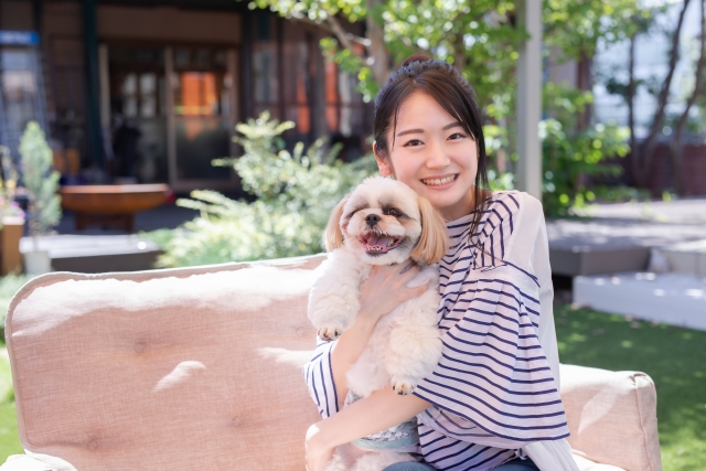 犬とカフェデビューをイメージした写真