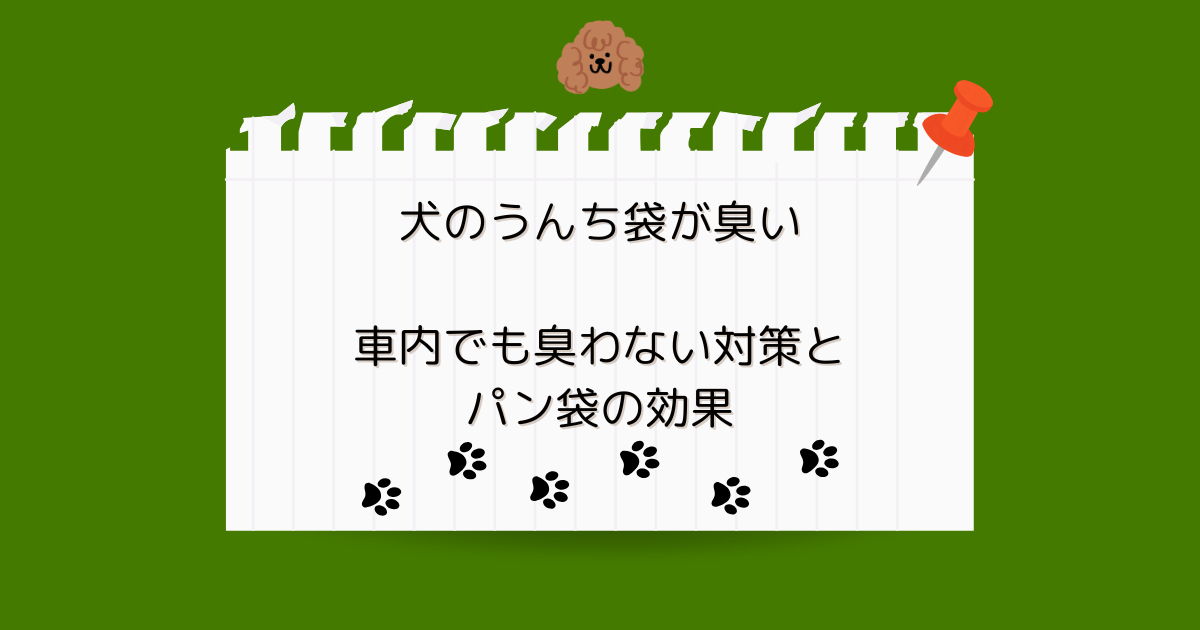犬のうんち袋が臭い…車内でも臭わない対策とパン袋の効果