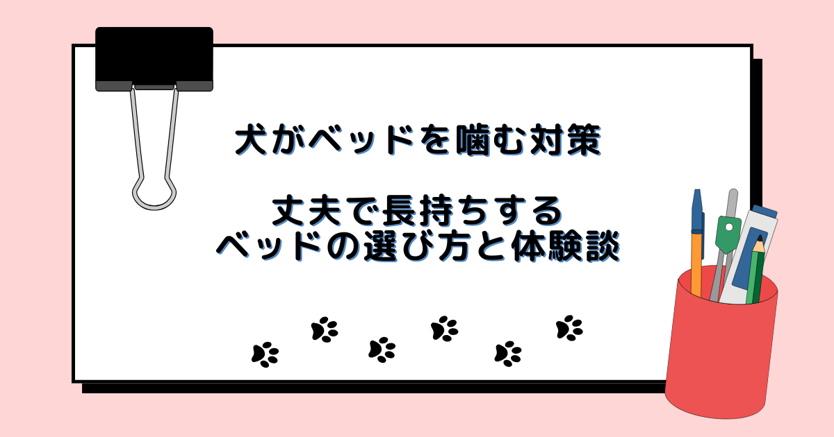 犬がベッドを噛むときの対策｜丈夫で長持ちするベッドの選び方と体験談