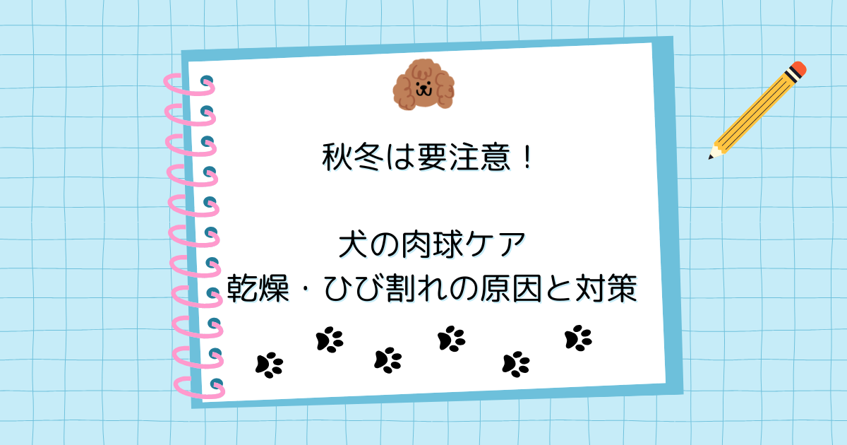 秋冬は要注意！犬の肉球ケア｜乾燥・ひび割れの原因と対策