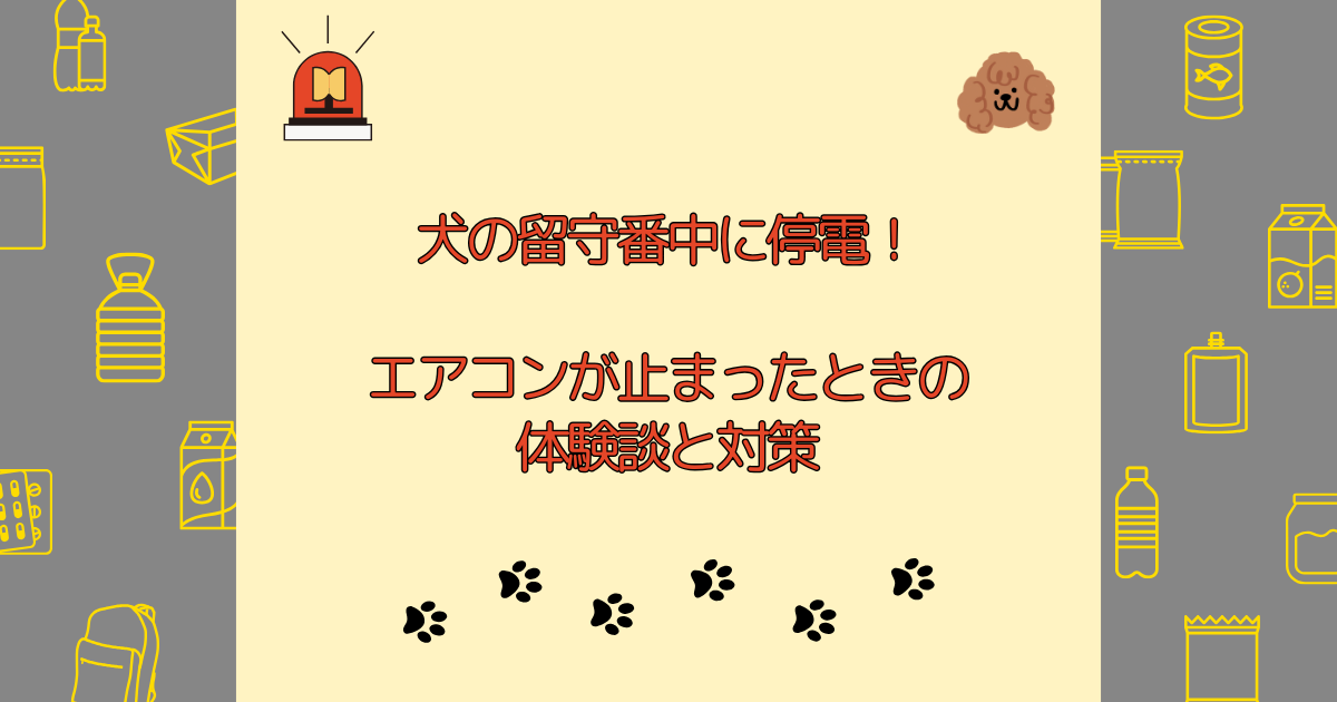 犬の留守番中に停電！エアコンが止まったときの体験談と対策