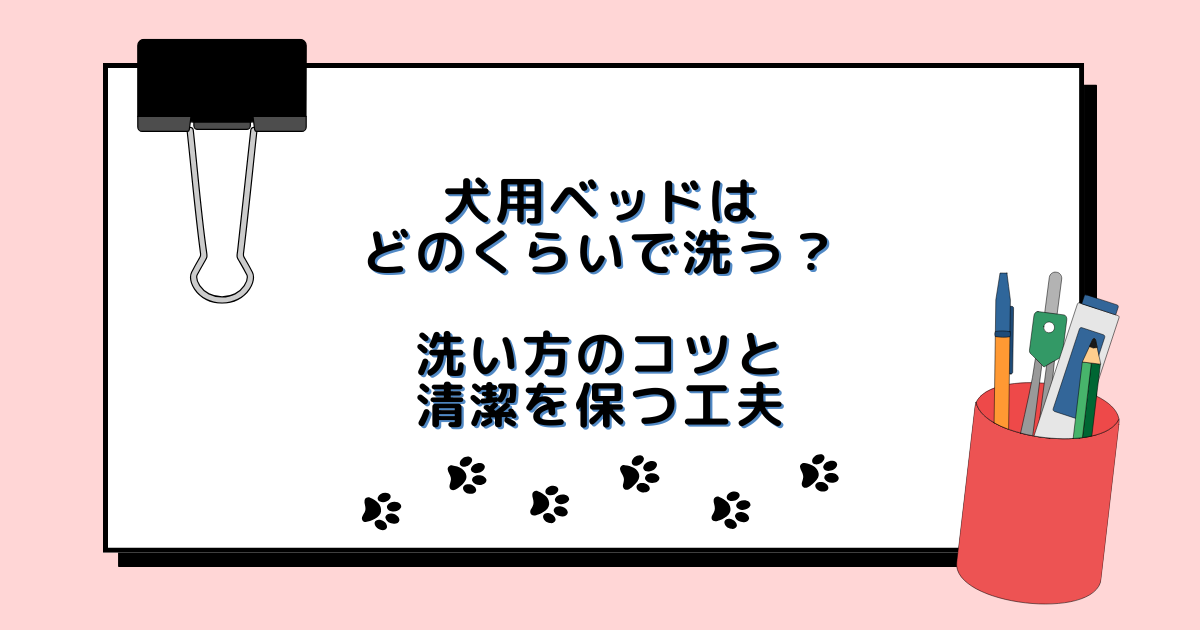 犬用ベッドはどのくらいで洗う？洗い方のコツと清潔を保つ工夫