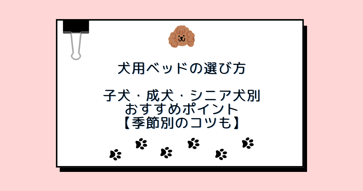 犬用ベッドの選び方｜子犬・成犬・シニア犬別おすすめポイント【季節別のコツも】