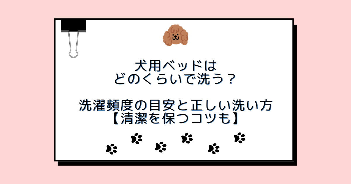 犬用ベッドはどのくらいで洗う？洗濯頻度の目安と正しい洗い方【清潔を保つコツも】