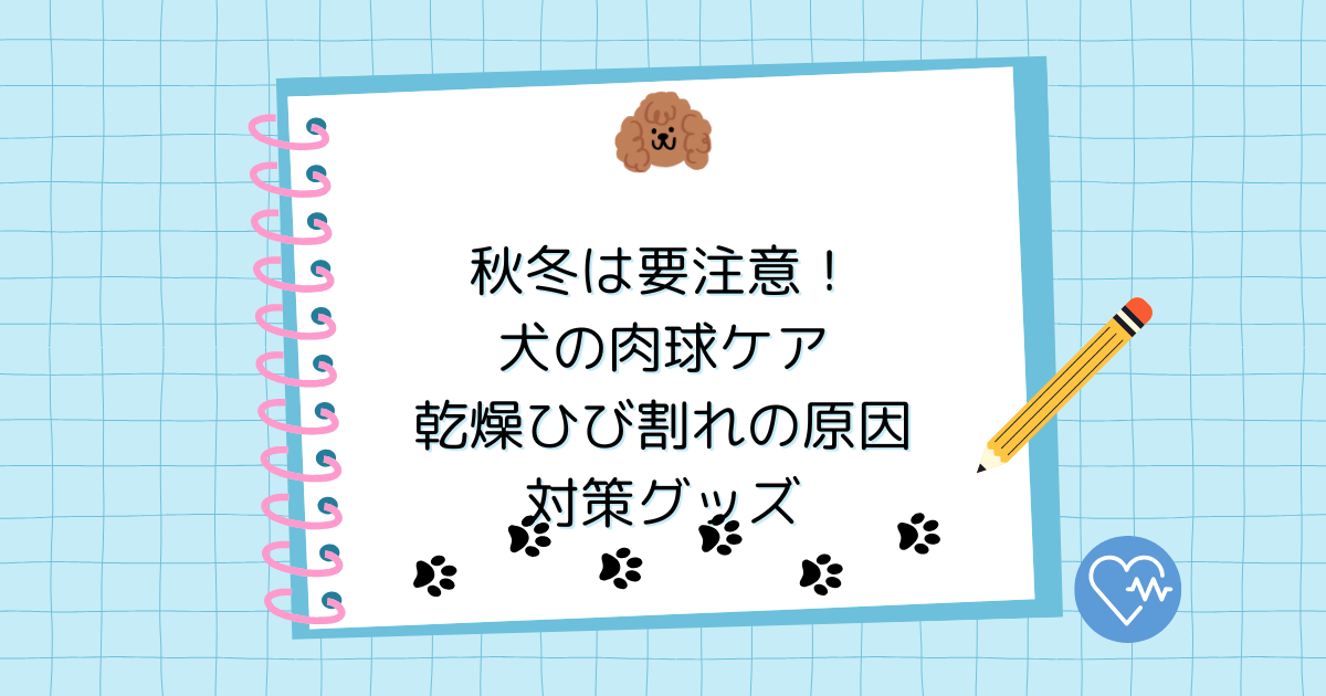 秋冬は要注意！犬の肉球ケア｜乾燥・ひび割れの原因と対策グッズ
