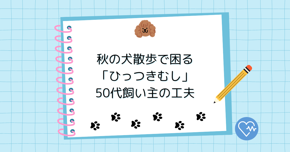 秋の犬散歩で困る「ひっつきむし」｜50代飼い主の工夫