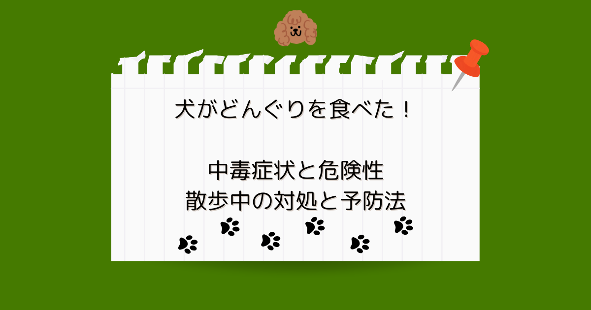 犬がどんぐりを食べた！中毒症状と危険性・散歩中の対処と予防法