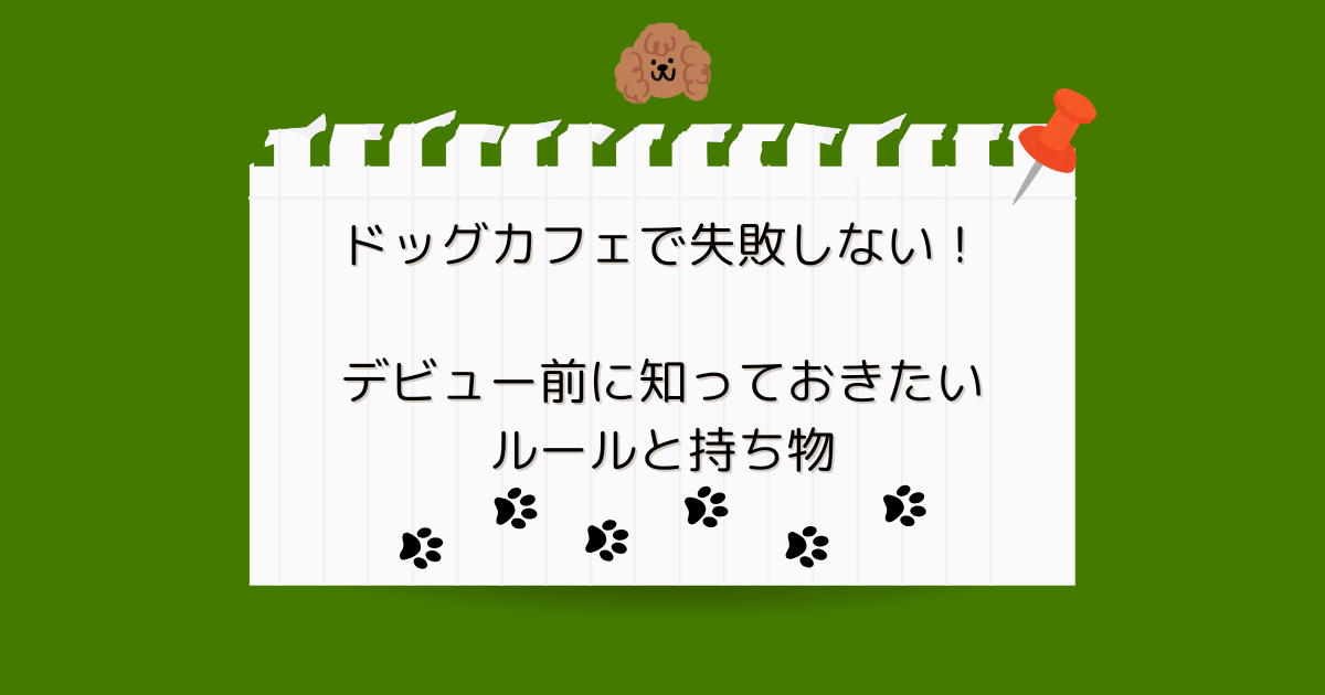 ドッグカフェで失敗しない！デビュー前に知っておきたいルールと持ち物
