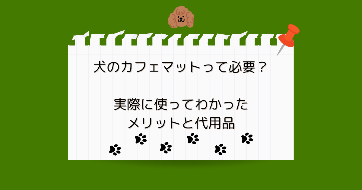 犬のカフェマットって必要？実際に使ってわかったメリットと代用品