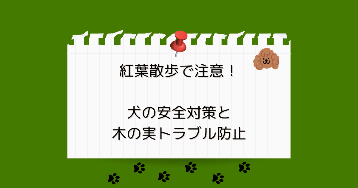 紅葉散歩で注意！犬の安全対策と木の実トラブル防止