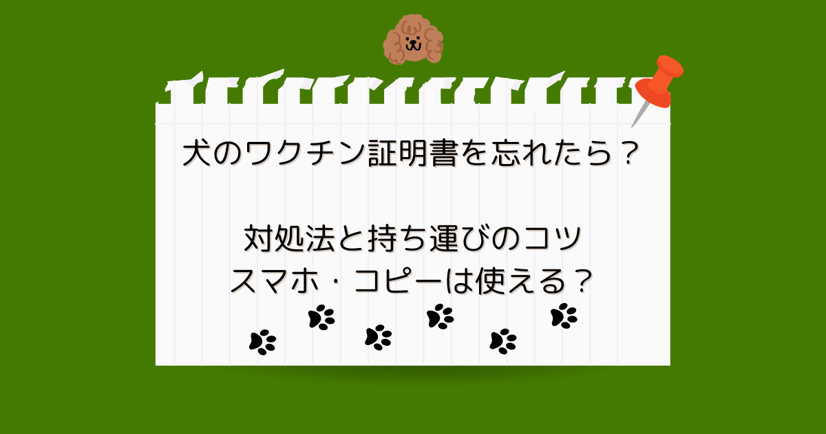 犬のワクチン証明書を忘れたら？対処法と持ち運びのコツ｜スマホ・コピーは使える？