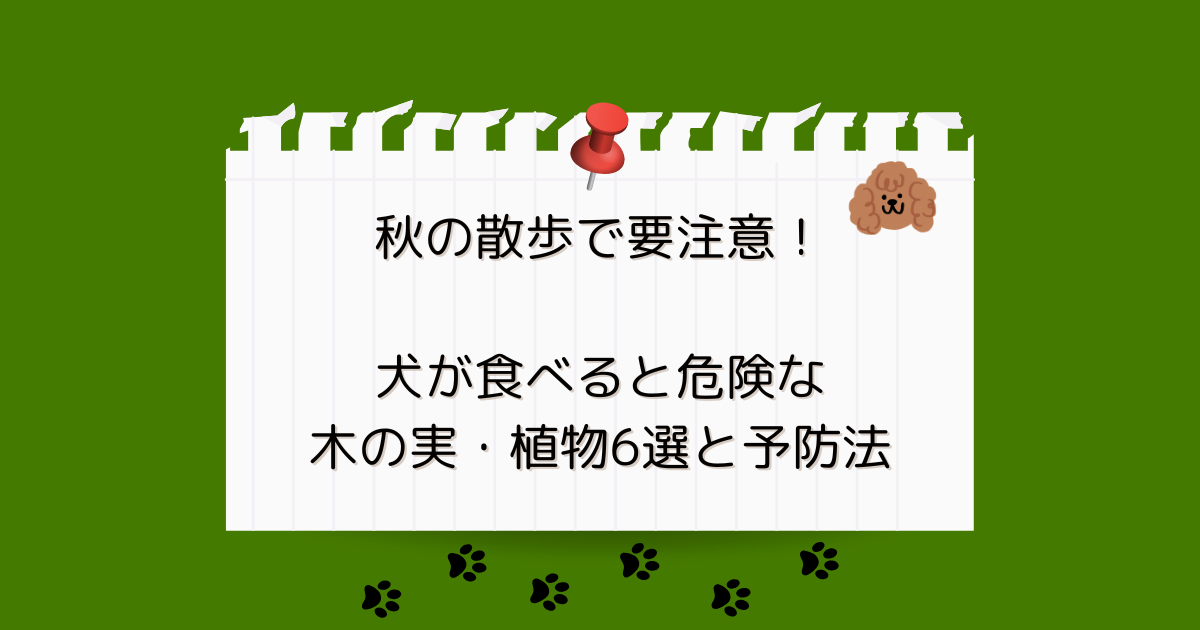秋の散歩で要注意！犬が食べると危険な木の実・植物6選と予防法