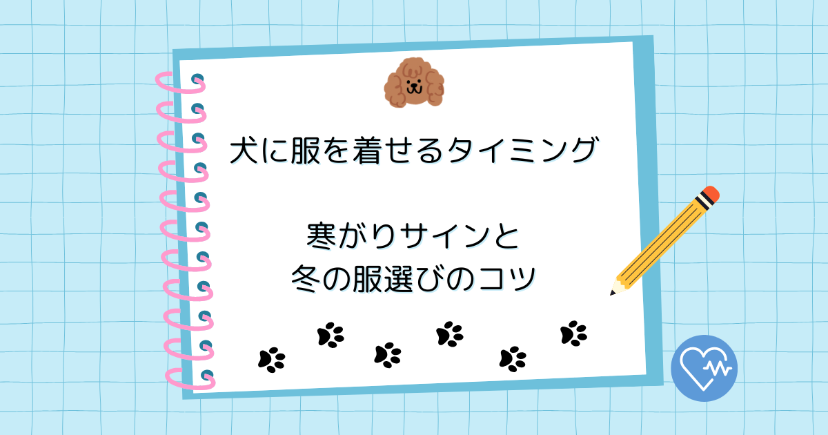 犬に服を着せるタイミングはいつ？寒がりサインと冬の服選びのコツ