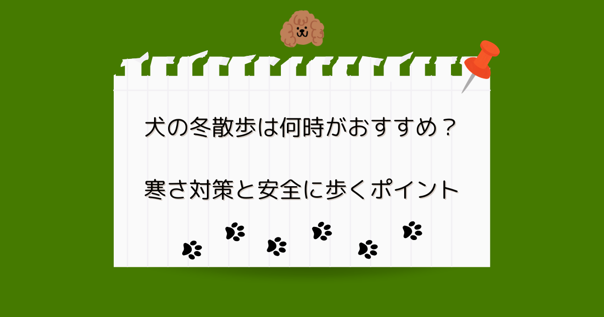 犬の冬散歩は何時がおすすめ？寒さ対策と安全に歩くポイント