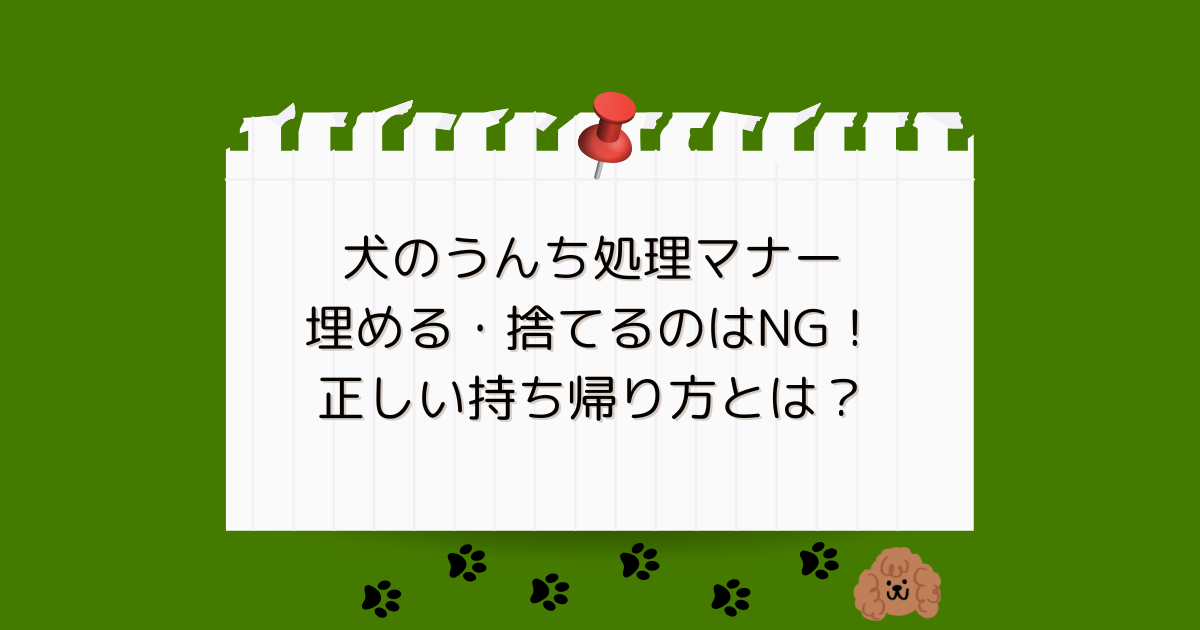 犬のうんち処理マナー｜埋める・捨てるのはNG！正しい持ち帰り方とは？