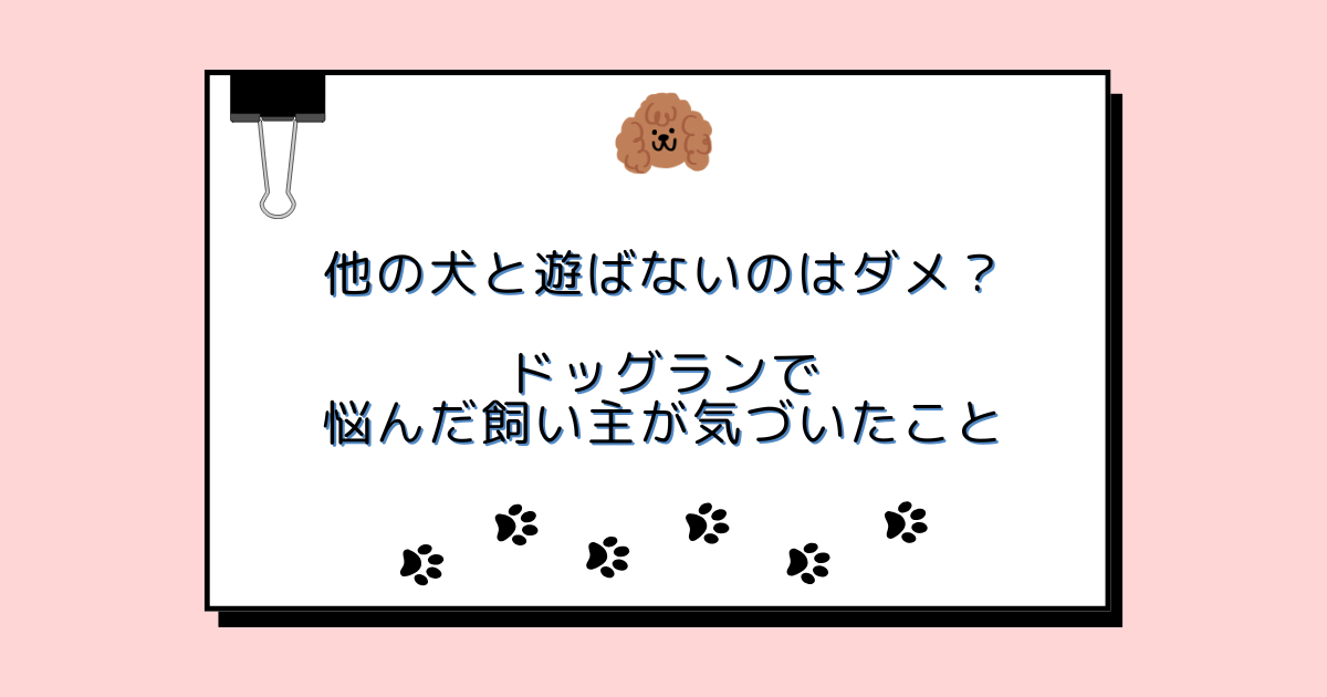 他の犬と遊ばないのはダメ？ドッグランで悩んだ飼い主が気づいたこと