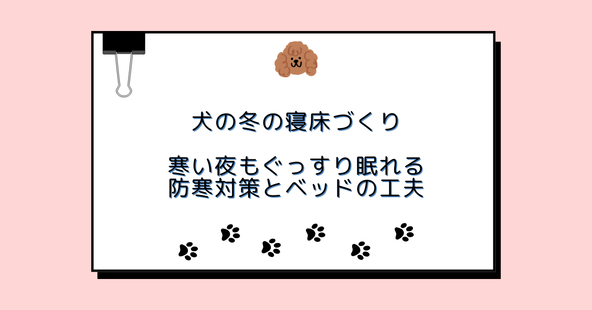犬の冬の寝床づくり｜寒い夜もぐっすり眠れる防寒対策とベッドの工夫