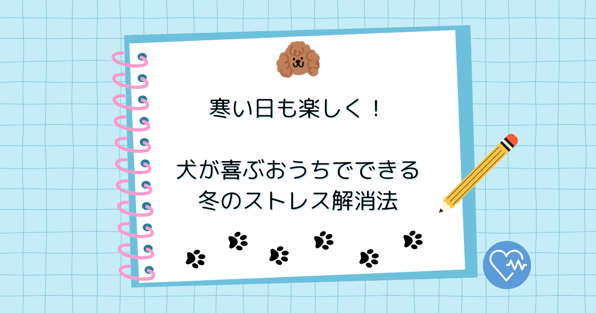 寒い日も楽しく！犬が喜ぶおうちでできる冬のストレス解消法
