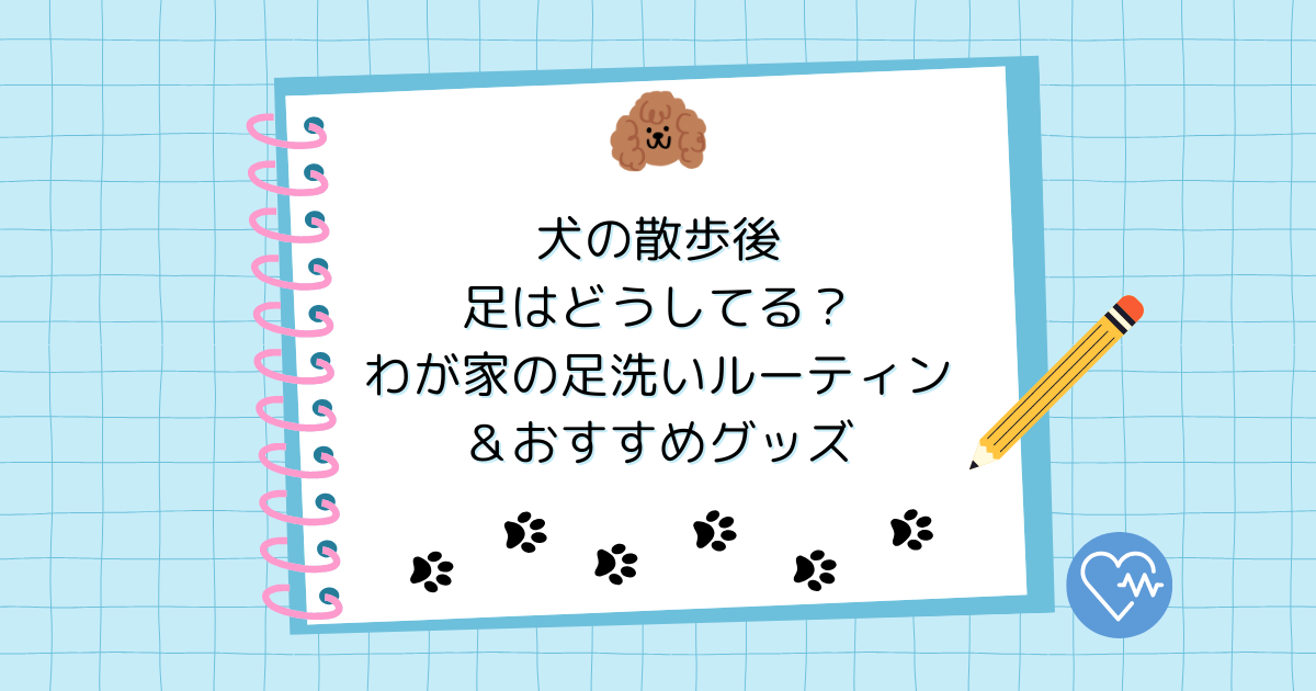 犬の散歩後、足はどうしてる？わが家の足洗いルーティン＆おすすめグッズ