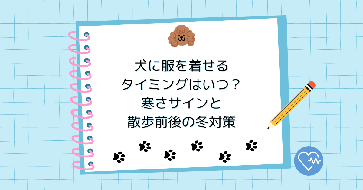 犬に服を着せるタイミングはいつ？寒さサインと散歩前後の冬対策