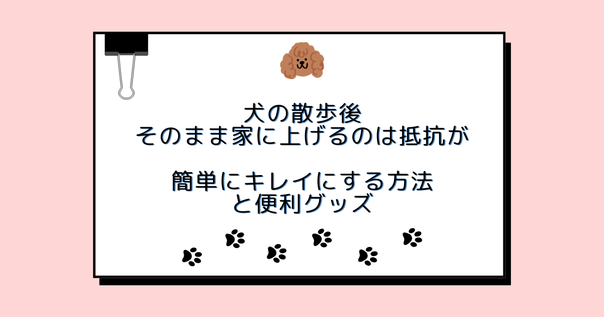 犬の散歩後そのまま家に上げるのは抵抗が…簡単にキレイにする方法と便利グッズ