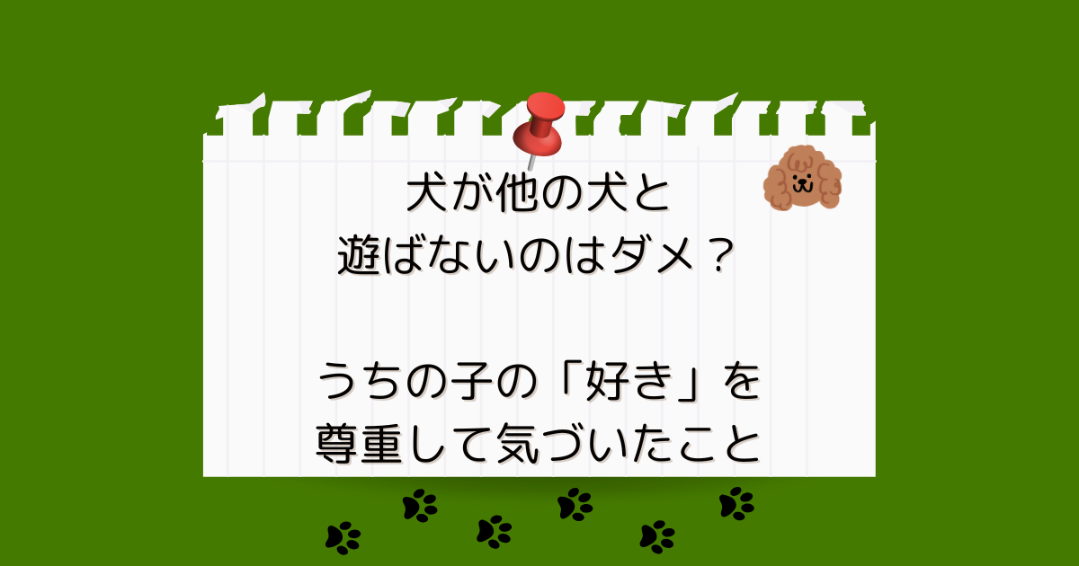 犬が他の犬と遊ばないのはダメ？うちの子の「好き」を尊重して気づいたこと