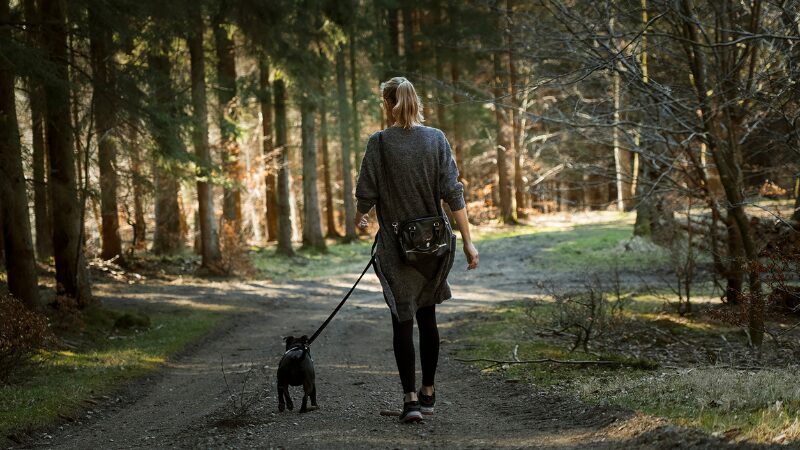 犬と散歩中の写真