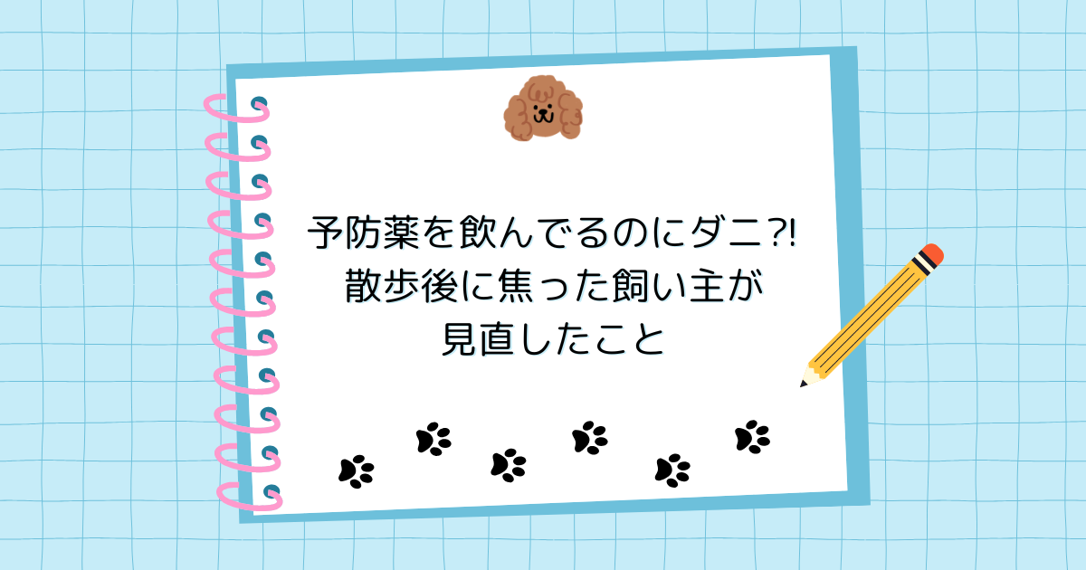 予防薬を飲んでるのに愛犬にダニ⁈散歩後に焦った飼い主が見直したこと