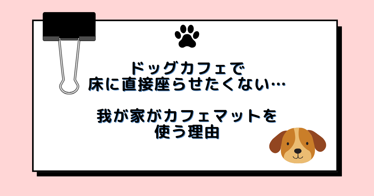 中型犬をドッグカフェで床に直接座らせたくない…我が家がカフェマットを使う理由