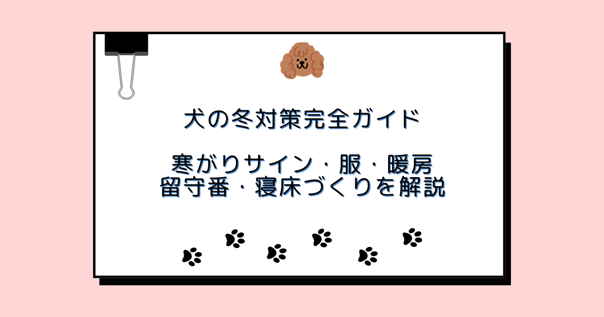 犬の冬対策完全ガイド｜寒がりサイン・服・暖房・留守番・寝床づくりを解説