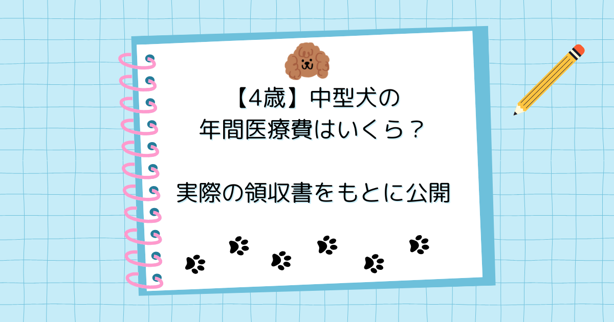 健康な中型犬の年間医療費はいくら？実際の領収書をもとに公開【4歳】