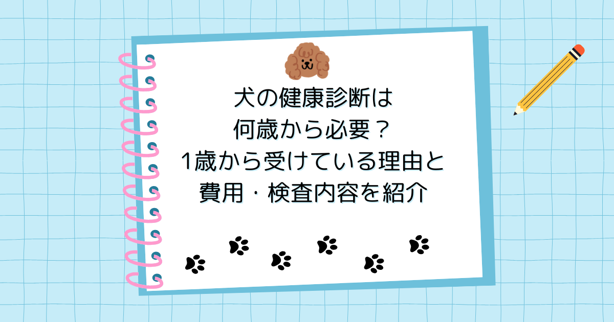 犬の健康診断は何歳から必要？1歳から受けている理由と費用・検査内容を紹介