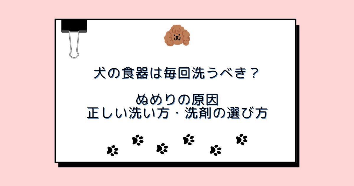 犬の食器は毎回洗うべき？ぬめりの原因・正しい洗い方・洗剤の選び方