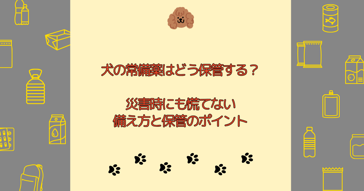 犬の常備薬はどう保管する？災害時にも慌てない備え方と保管のポイント